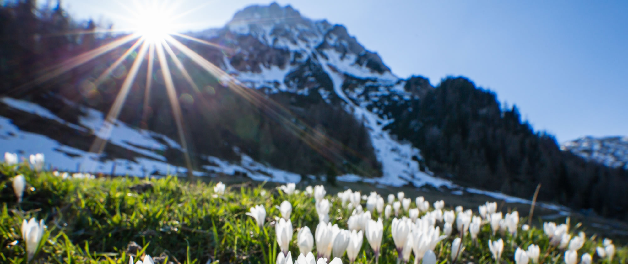 Frühlingszeit in den Bergen der Ramsau